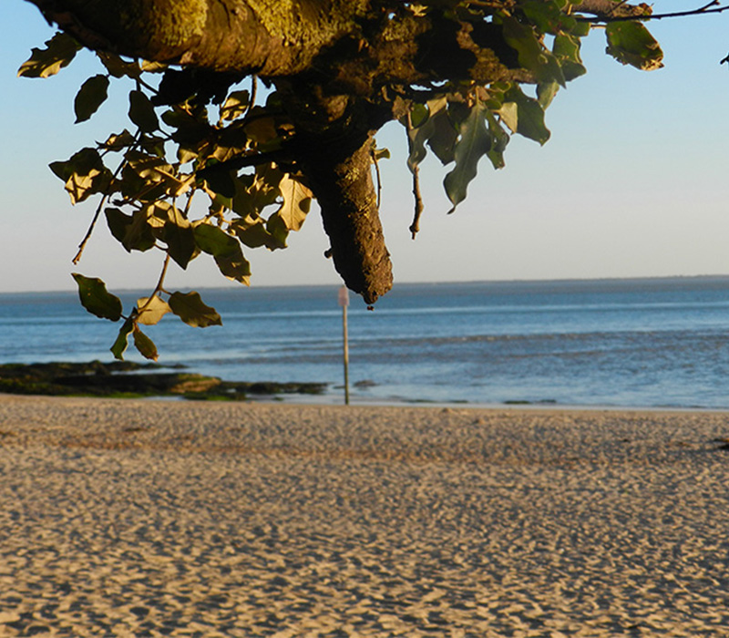 Les plages de Royan